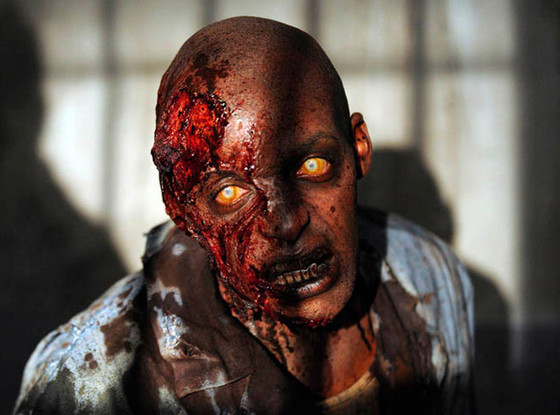 The Walking Dead The Walking Dead